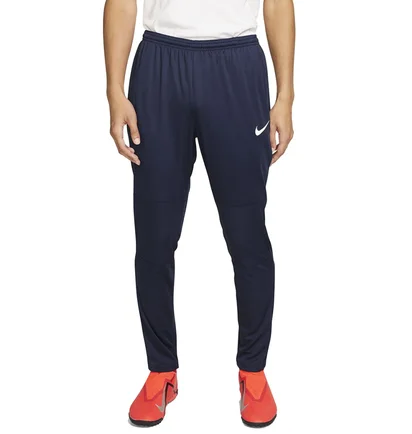 Штани чоловічі Nike Park 20 Knit Blue FJ3021-451