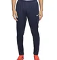 Штани чоловічі Nike Park 20 Knit Blue FJ3021-451
