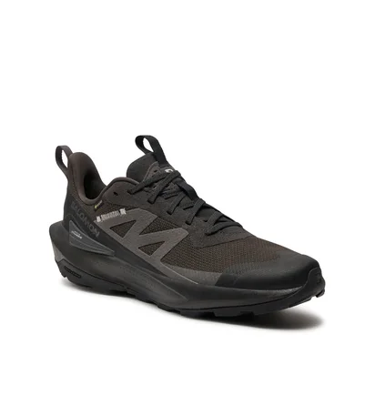 Кросівки чоловічі Salomon Elixir Activ Gore-Tex Black L47456100