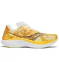 Кросівки чоловічі Saucony Kinvara 15 Orange S20967-130