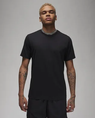 Футболка мужская Air Jordan T-Shirt Jordan Black AQ2366-010