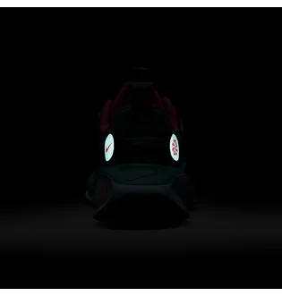 Кросівки жіночі Nike React Infinity Run 4 Gore Tex Green HQ3128-300