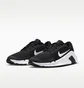 Кроссовки женские Nike Flex Train Black/White HV9981-003
