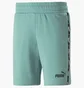 Шорты мужские Puma Essentials+ Tape Turquoise 847387-85