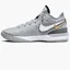 Кросівки унісекс Nike Lebron Nxxt Gen Basketball Shoes Grey DR8784-004