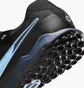 Сороконожки унисекс Nike Legend 10 Pro Tf Black DV4336-003