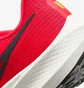 Кросівки чоловічі Nike Air Zoom Pegasus 39 Red Dh4071-600