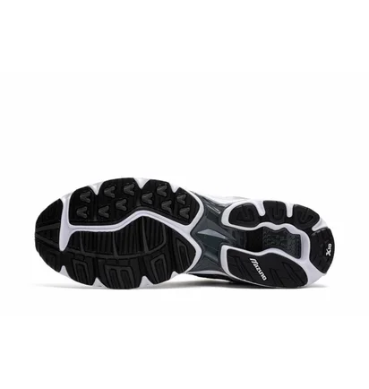 Кросівки чоловічі Mizuno Wave Rider 10 White/Metallic D1GA210405