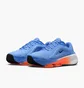 Кросівки жіночі Nike Versair Blue DZ3547-401