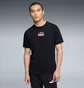 Футболка мужская Puma House Of Graphics Black 688894-01