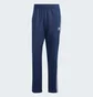 Штаны мужские Adidas Adicolor Classics Firebird Tracksuit Bottoms Blue IM9471