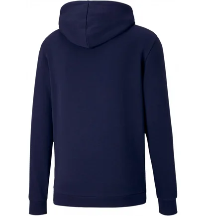 Худи мужское Puma Hooded Sweatshirt Teamgoal 23 Causals Hoody Blue 656580-06