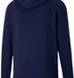 Худи мужское Puma Hooded Sweatshirt Teamgoal 23 Causals Hoody Blue 656580-06