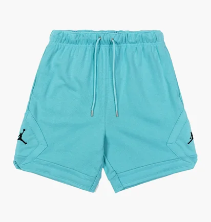 Шорты мужские Air Jordan Flight Fleece Shorts Light Blue DQ7472-464