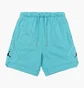 Шорты мужские Air Jordan Flight Fleece Shorts Light Blue DQ7472-464
