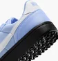 Кросівки жіночі Nike Field General Blue FZ5593-400
