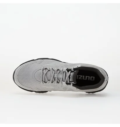 Кроссовки мужские Mizuno Wave Daichi Ls Metallic/Grey D1GA260102