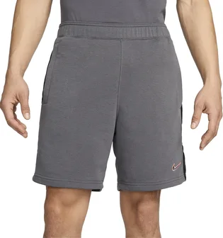 Шорты мужские Nike M Nsw Sp Short Ft Grey FZ4708-068