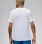Футболка мужская Air Jordan M J Flt Ess Pool Ss Crew White FN6006-100