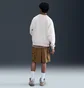 Шорты мужские Nike Sb Kearny Brown HJ2908-235