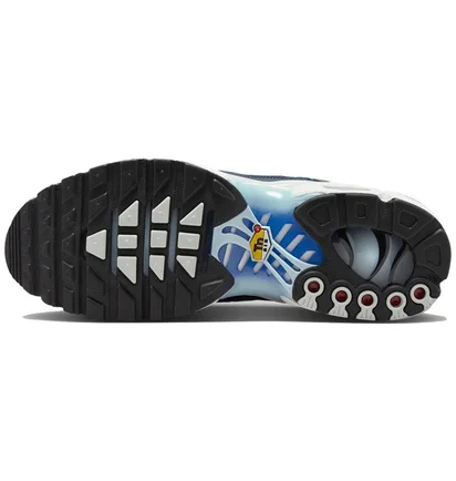 Кросівки чоловічі Nike Air Max Plus MenS Shoes Black IH4459-473
