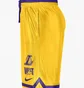 Шорты мужские Nike Los Angeles Lakers Courtside Violet/Yellow Dr9350-728