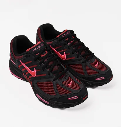 Кроссовки унисекс Nike Pegasus 2K5 Black/Bordo FJ1912-001