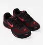 Кроссовки унисекс Nike Pegasus 2K5 Black/Bordo FJ1912-001