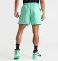 Шорти чоловічі Air Jordan Essentials 5 Poolside Shorts Turquoise FQ4562-349