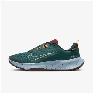 Кроссовки мужские Nike Juniper Trail 2 Gore-Tex Turquoise FB2067-300