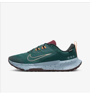 Кроссовки мужские Nike Juniper Trail 2 Gore-Tex Turquoise FB2067-300