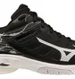 Кроссовки мужские Mizuno Wave Voltage 45 Black V1GA216052