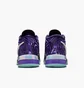 Кроссовки мужские Nike Lbj Nxxt Genisus Qs Violet IB1272-501