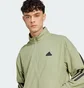 Олимпийка мужская Adidas Future Icons 3-Stripes Olive IW8546