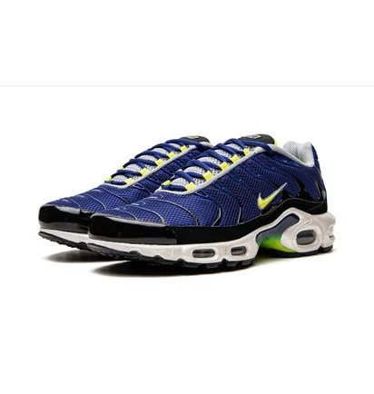 Кросівки чоловічі Nike Air Max Plus Blue DM0032-400