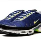 Кросівки чоловічі Nike Air Max Plus Blue DM0032-400