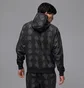 Худи мужское Air Jordan Sprt Flc Aop Grey HF9894-010