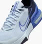 Кросівки чоловічі Nike Air Max Alpha Trainer 6 Light Blue/Blue FQ1833-401