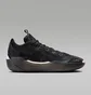 Кроссовки унисекс Air Jordan Xxxix Lumier Basketball Shoes Black FQ0213-001
