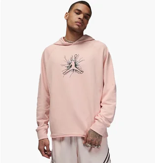 Худи мужское Air Jordan Df Sprt Gfx Flc Pink FN5812-622