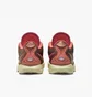 Кроссовки унисекс Nike Lebron Xxi Queen Conch Basketball Shoes Bordo FN0708-800