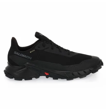 Кроссовки мужские Salomon Alphacross 5 Gtx Black 473075