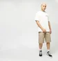 Шорти чоловічі Dickies 13 Inch Multi Pocket Beige DK0A4XOZKHK1