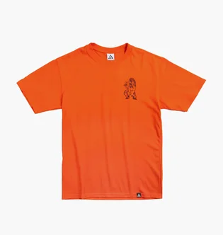 Футболка мужская Nike Acg Trolls Orange DJ5807-817