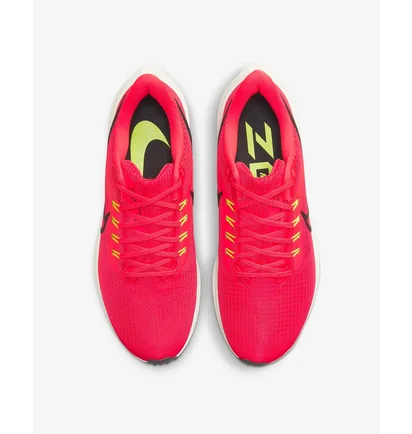 Кросівки чоловічі Nike Air Zoom Pegasus 39 Red Dh4071-600
