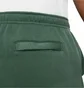 Шорти чоловічі Nike Sportswear Club Bb Gx Green BV2721-337