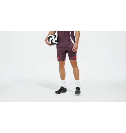 Шорты мужские Adidas Fc Bayern Tiro 24 Training Bordo IS9949