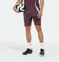 Шорты мужские Adidas Fc Bayern Tiro 24 Training Bordo IS9949