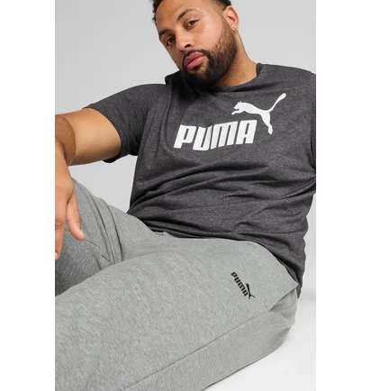 Штаны мужские Puma No. 1 Logo Grey 682608-03