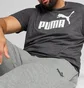 Штаны мужские Puma No. 1 Logo Grey 682608-03